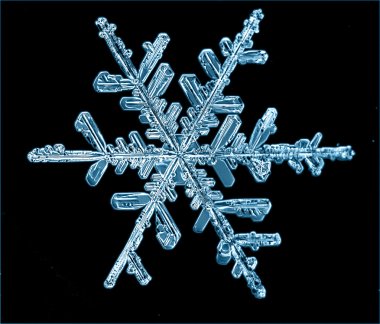 Kar tanesi buz kristal