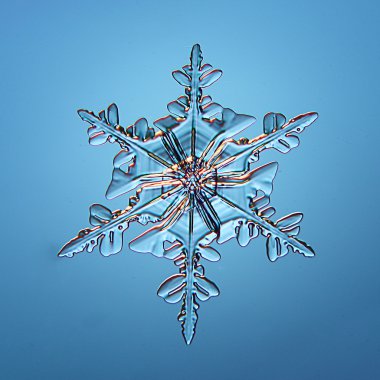 Kar tanesi buz kristal