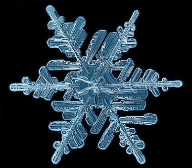 Kar tanesi buz kristal