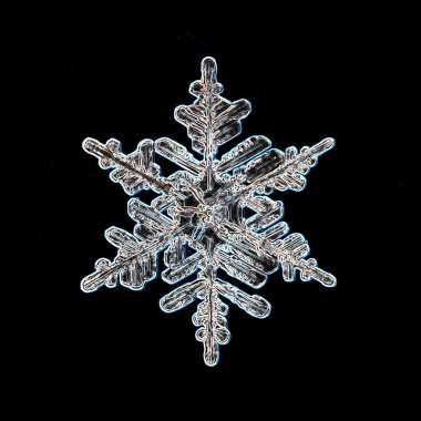 Kar tanesi buz kristal