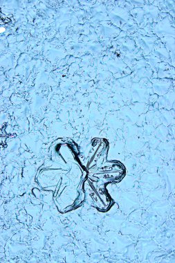 Kar tanesi buz kristal