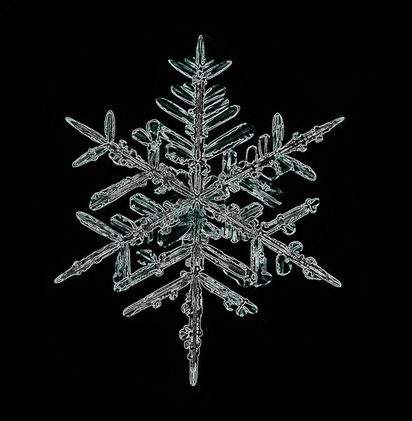 Snöflinga ice crystal — Stockfoto