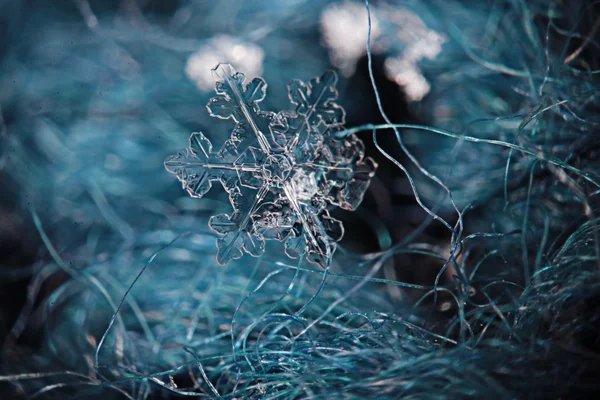 Cristallo di ghiaccio fiocco di neve — Foto Stock