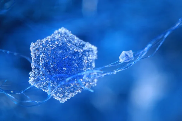 雪の結晶氷結晶 — ストック写真