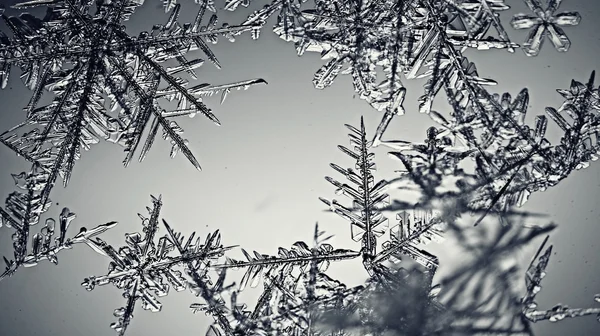 Frozen ice texture background — Stock Photo, Image