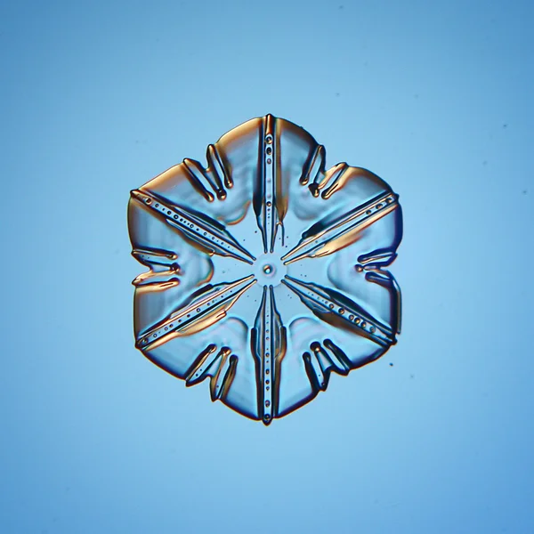 Snöflinga ice crystal — Stockfoto