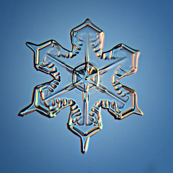 Schneeflocken-Eiskristall — Stockfoto