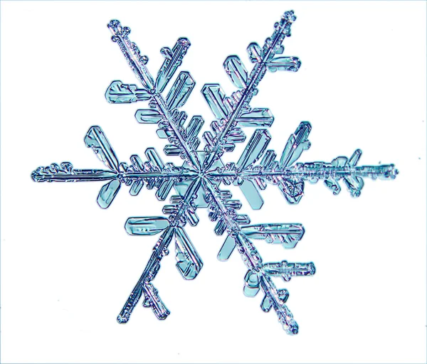 Snöflinga ice crystal — Stockfoto