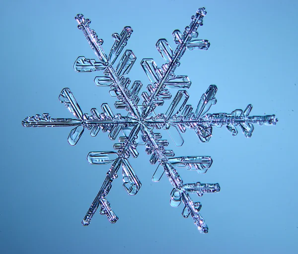 Cristal de hielo de copo de nieve — Foto de Stock