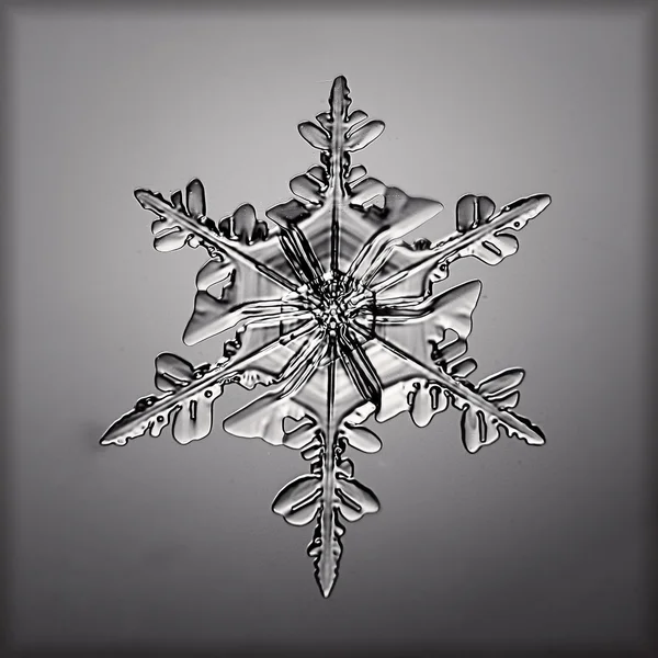 Snöflinga ice crystal — Stockfoto