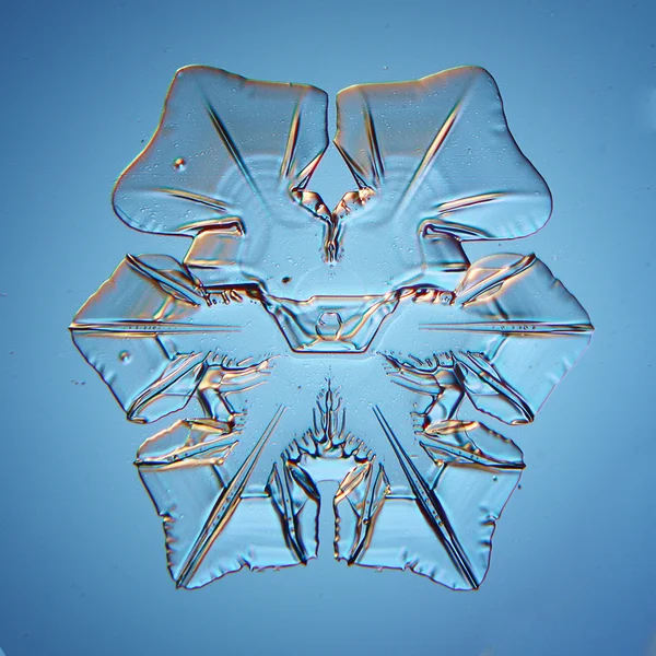 Cristal de glace flocon de neige — Photo