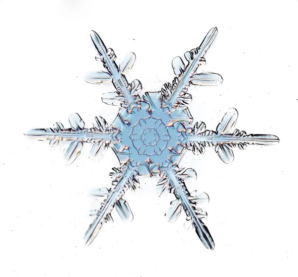 Schneeflocken-Eiskristall — Stockfoto