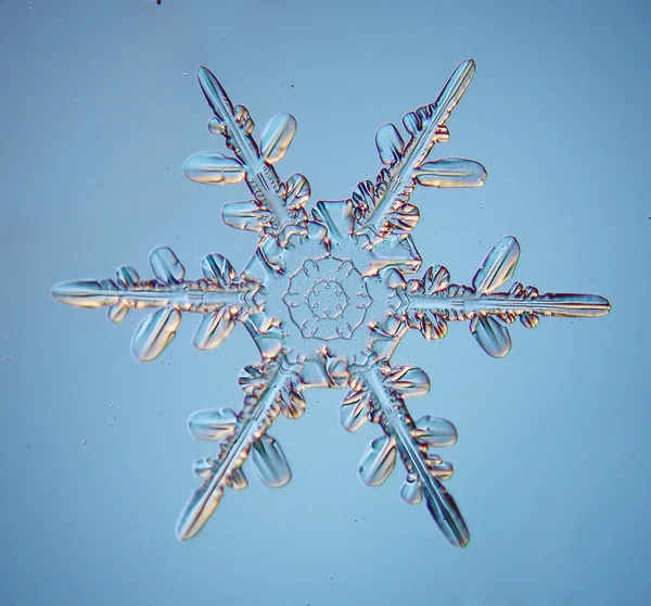 Cristal de hielo de copo de nieve — Foto de Stock