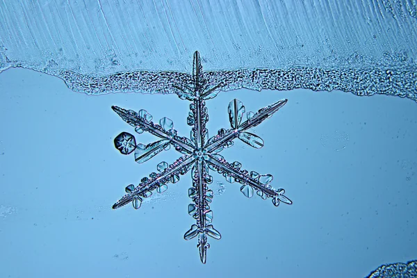 Cristal de hielo de copo de nieve —  Fotos de Stock