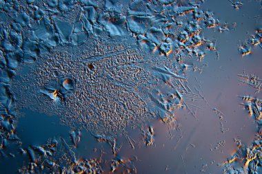 Blue Ice doku arka plan