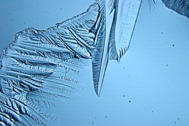 Blue Ice doku arka plan