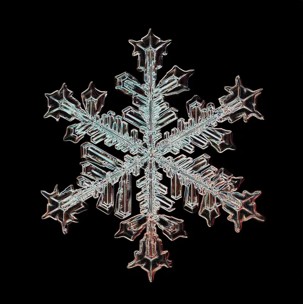 Snowflake ice crystal — Stock Photo, Image