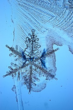 Kar tanesi buz kristal