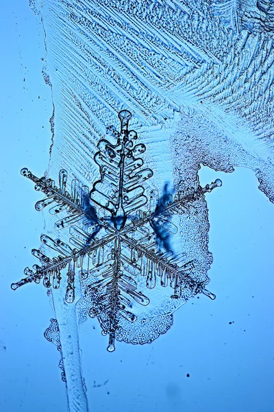 Cristal de glace flocon de neige — Photo