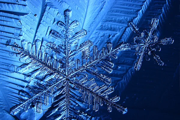 Cristal de hielo de copo de nieve — Foto de Stock
