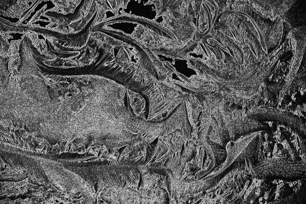 Monochrome texture of ice, frost — Stock Photo, Image