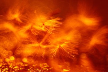 Soyut turuncu arkaplan