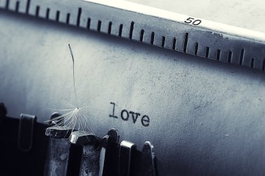 Karahindiba çiçek kabartmak ve daktilo