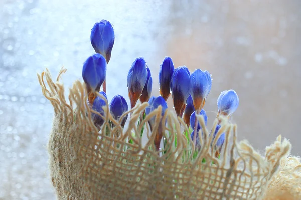 Blauer Frühlingsblumenstrauß — Stockfoto