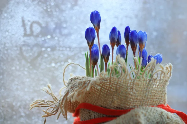 春クロッカスの花 — ストック写真