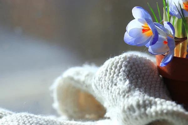 Wiosna kwiaty bukiet — Zdjęcie stockowe
