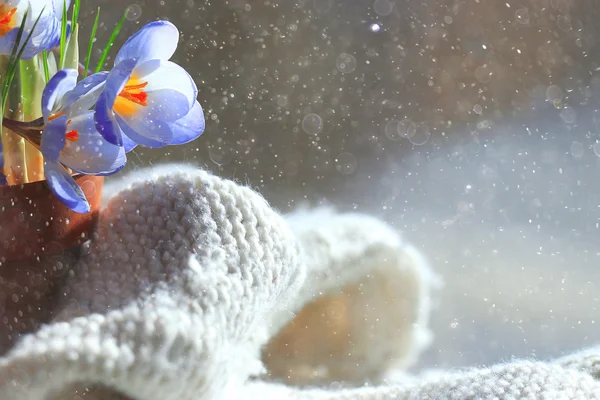 Ramo de flores de primavera — Foto de Stock