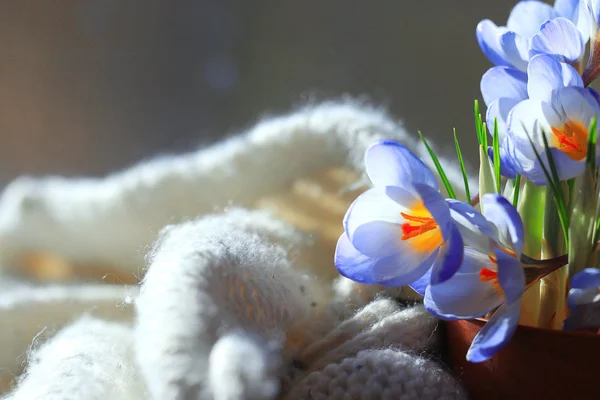 Spring flowers bouquet — Stock Photo, Image