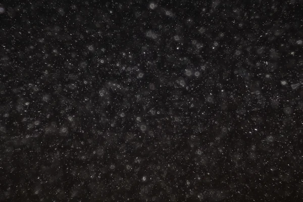 Krople deszczu białe tło — Zdjęcie stockowe