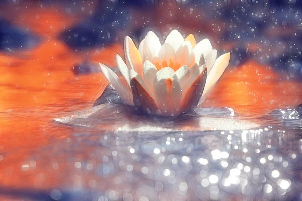 Őszi tó fehér liliom — Stock Fotó