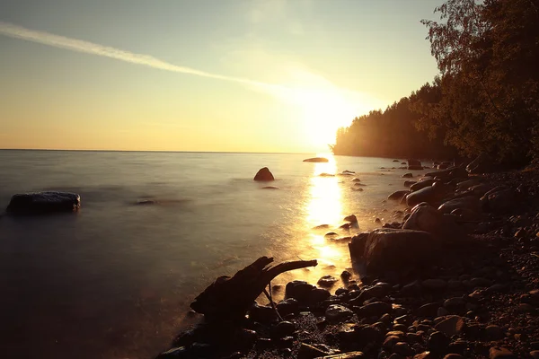 Atardecer dorado en la playa — Foto de Stock