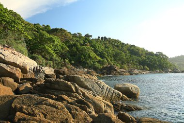 Asya Tayland jungle manzara.