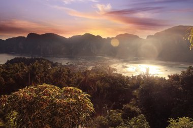 Asya Tayland jungle manzara.