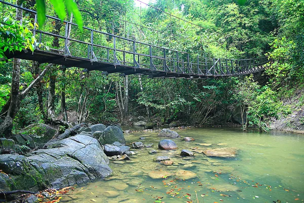 Asiático Tailândia paisagem selva . — Fotografia de Stock