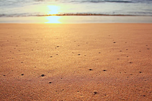 Surf en la playa del atardecer — Foto de Stock