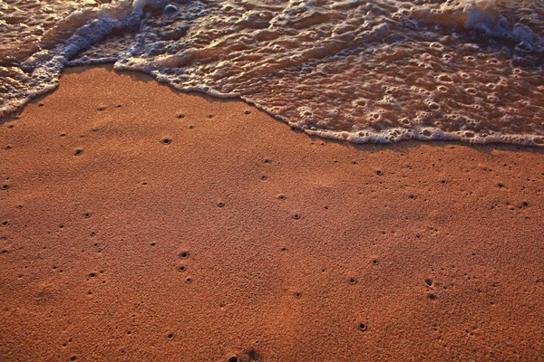 Mořská vlna surfování na pláži — Stock fotografie