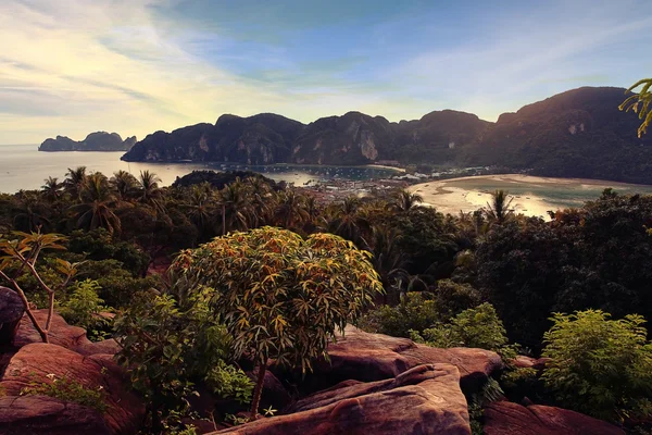 Asiático Tailândia paisagem selva . — Fotografia de Stock