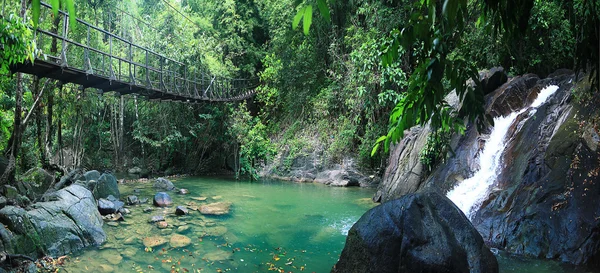 Puente de cuerda en la selva — Foto de Stock