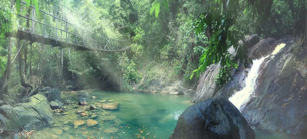 Ponte de corda na selva — Fotografia de Stock
