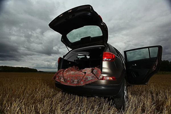 Suv car in field — Stock Photo, Image