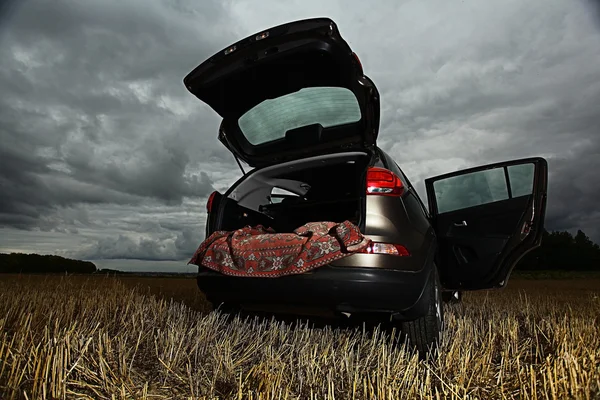 Suv car in field — Stock Photo, Image