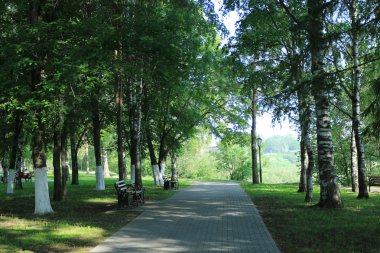 Yaz aylarında Şehir Parkı