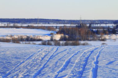 Kar doku parçaları