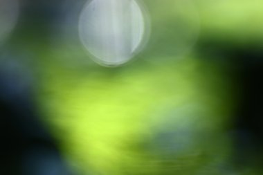 yeşil arka plan bulanık