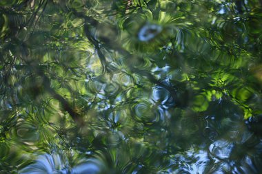 mavi yeşil su arka plan