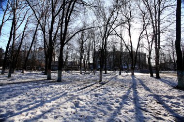 Kış orman manzara ev